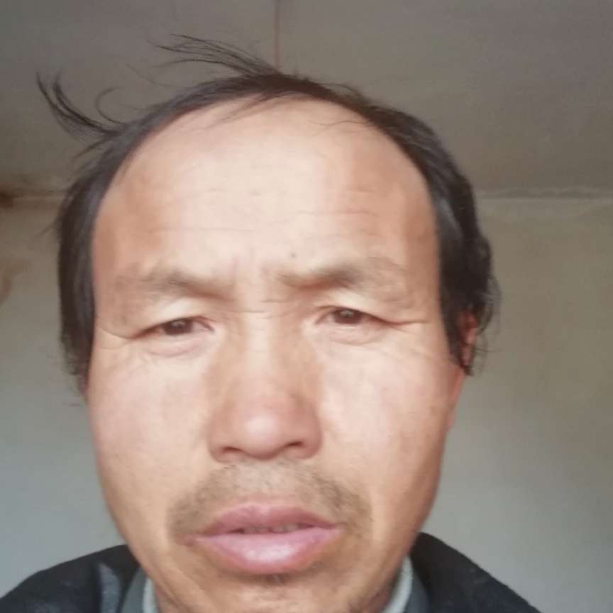 深情厚誼的照片