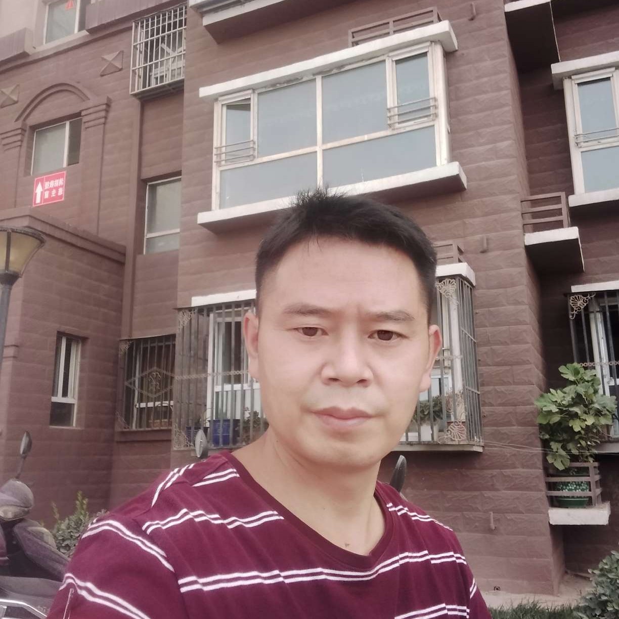 光明到来的照片