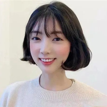 崖梅的照片