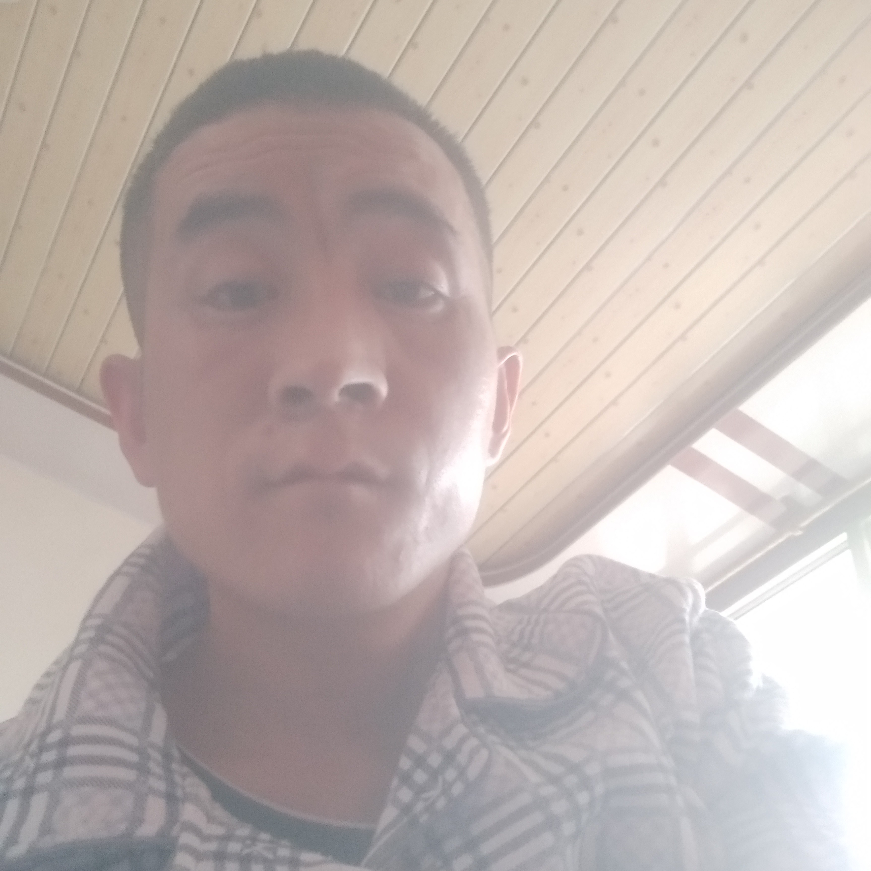 贪玩愿小熊猫的照片