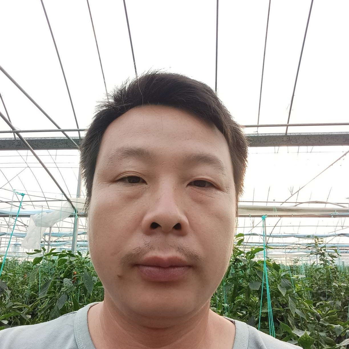 礼貌de达芙妮的照片
