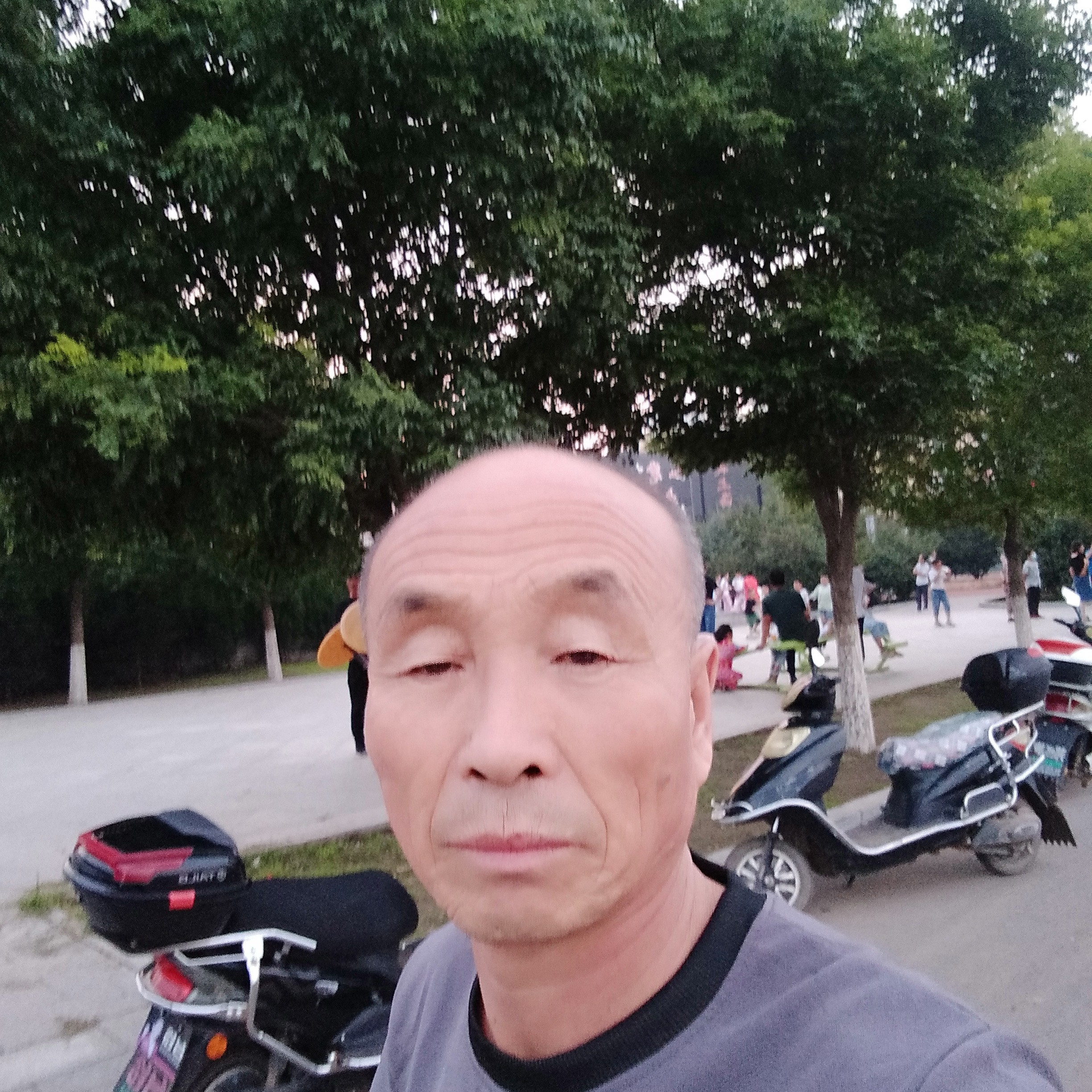 玩命愿断夏的照片