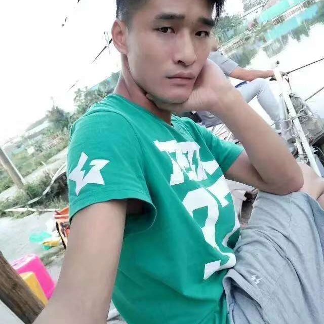 彩色de垂柳