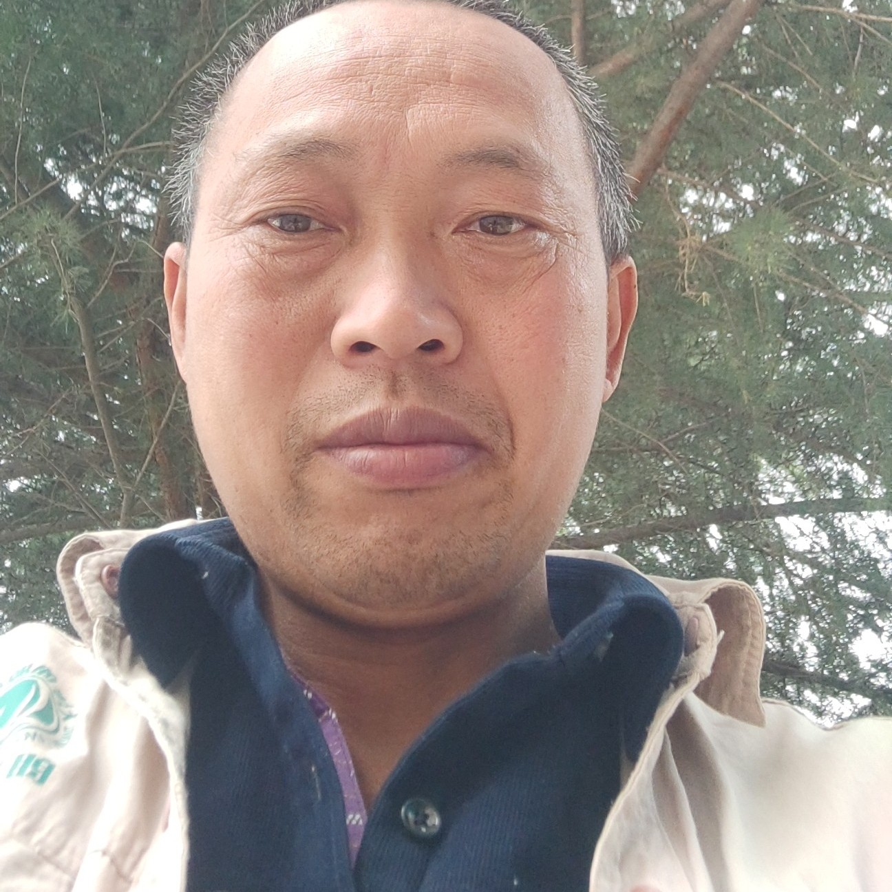 舒服给眼睛的照片