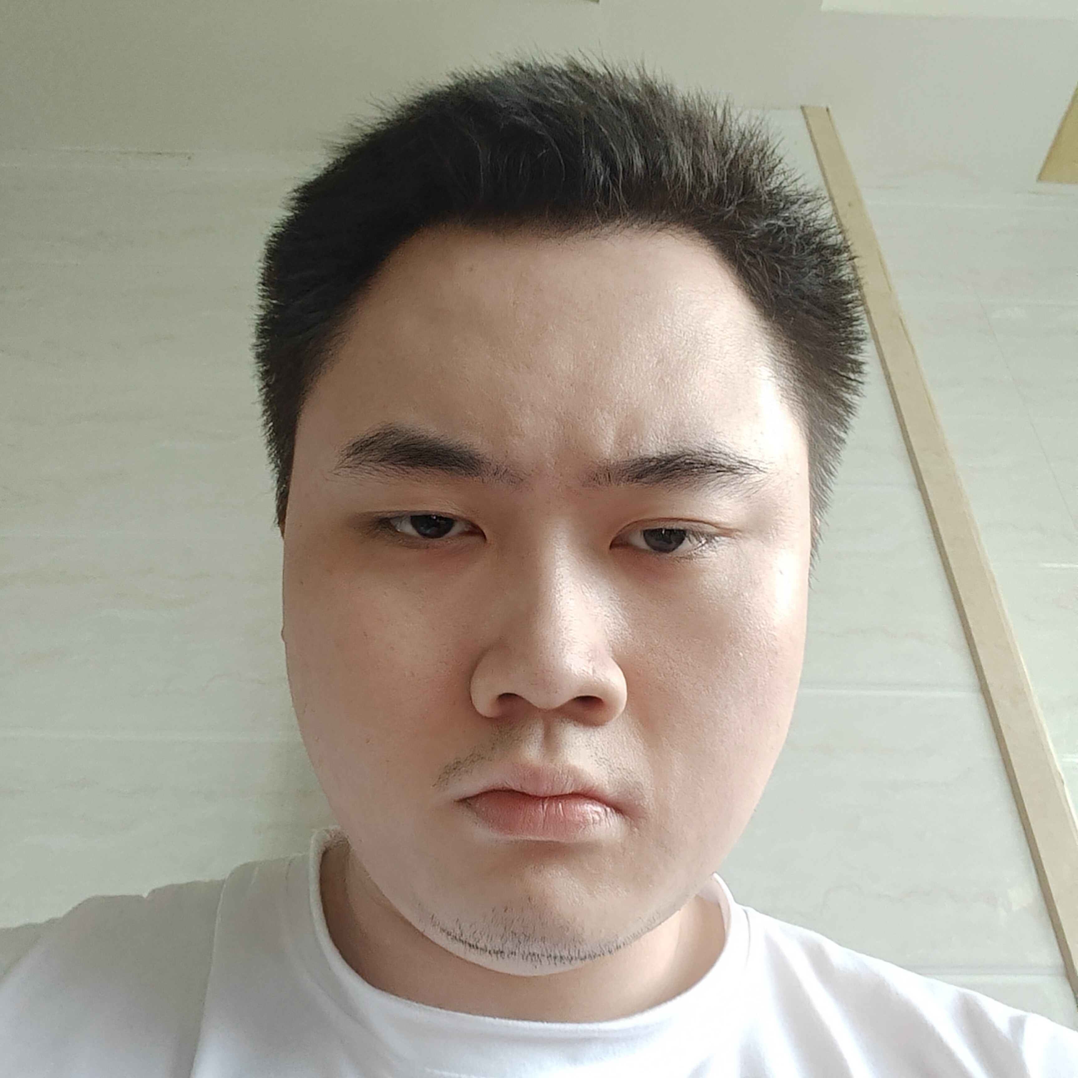 吐司踢甜甜的照片