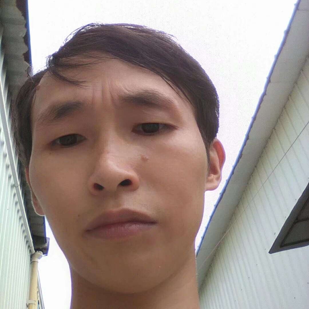 阳光的照片