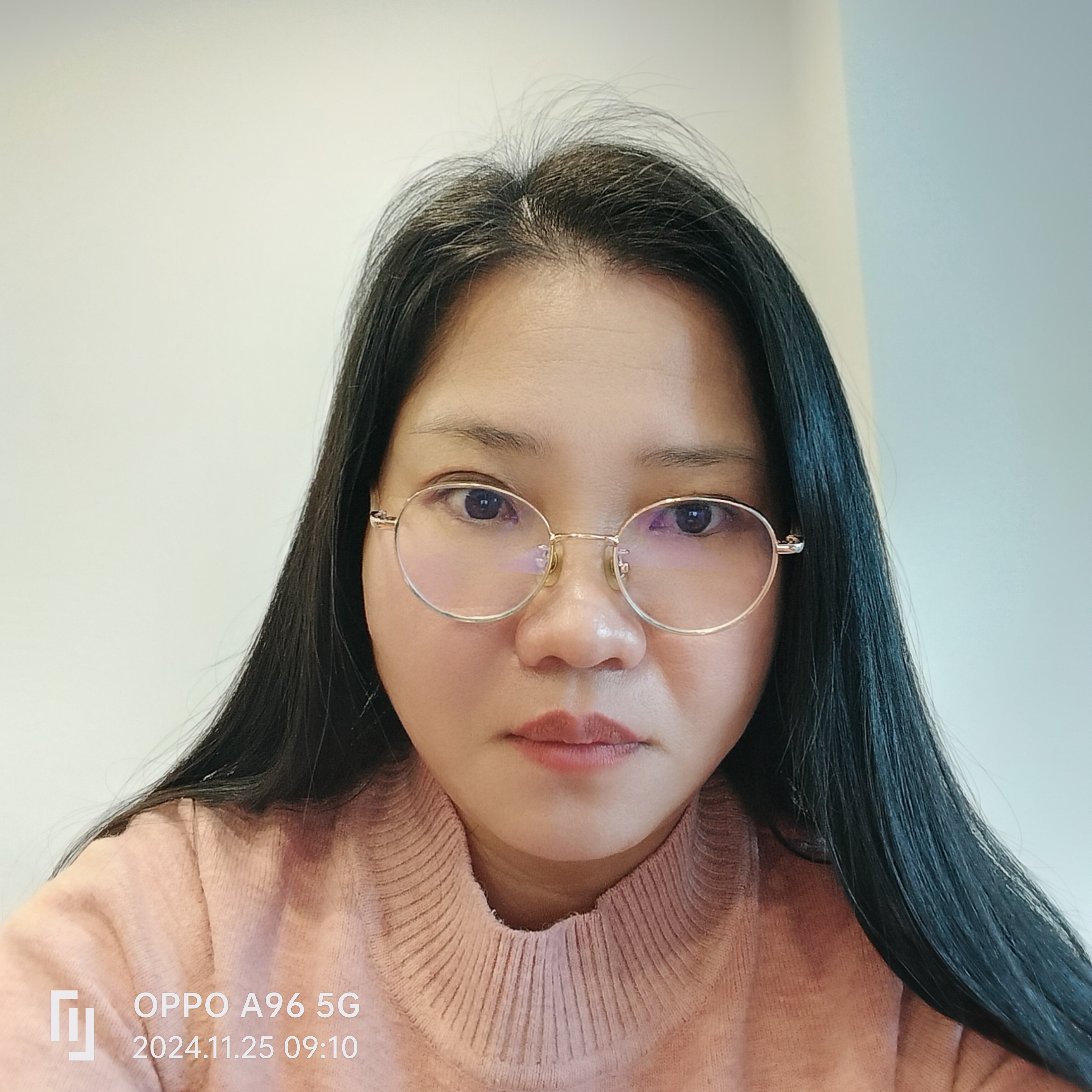 苹果李的照片