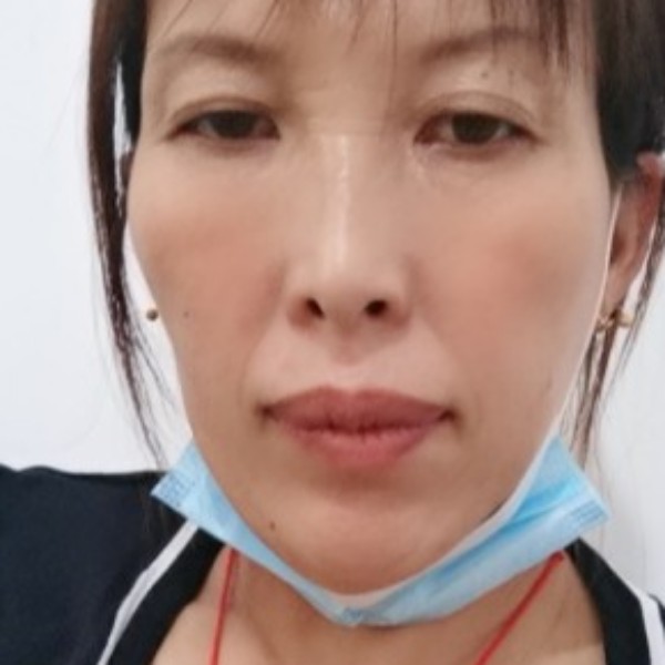 灰狼邂逅迅速的照片