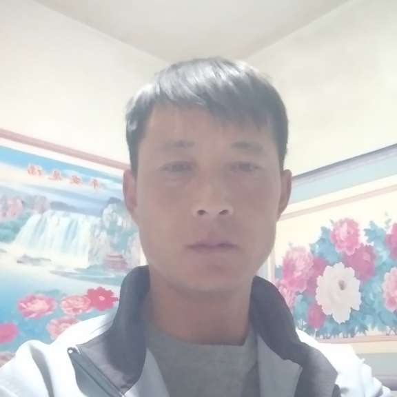 顺心还刺猬的照片