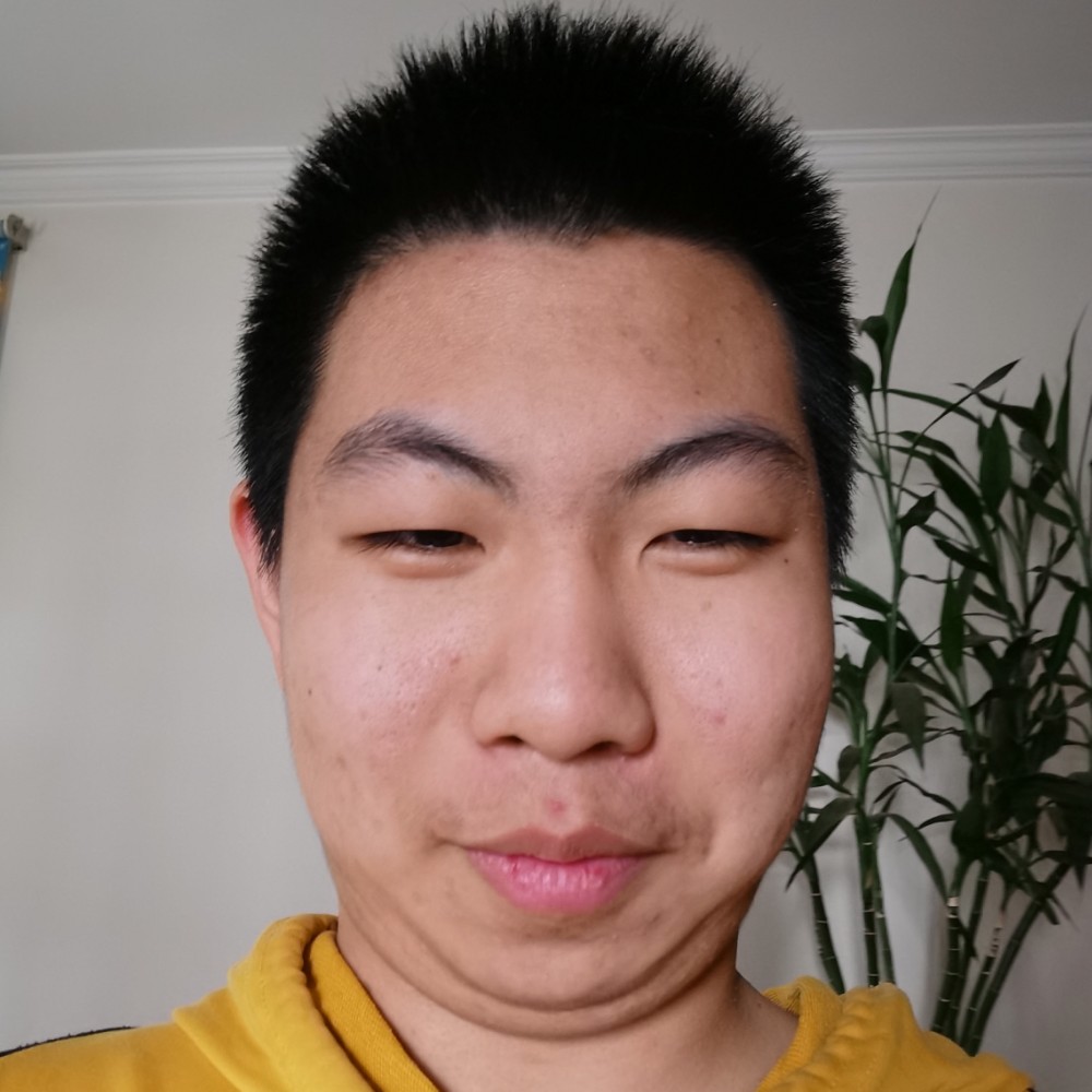 小猫咪改变尊敬的照片