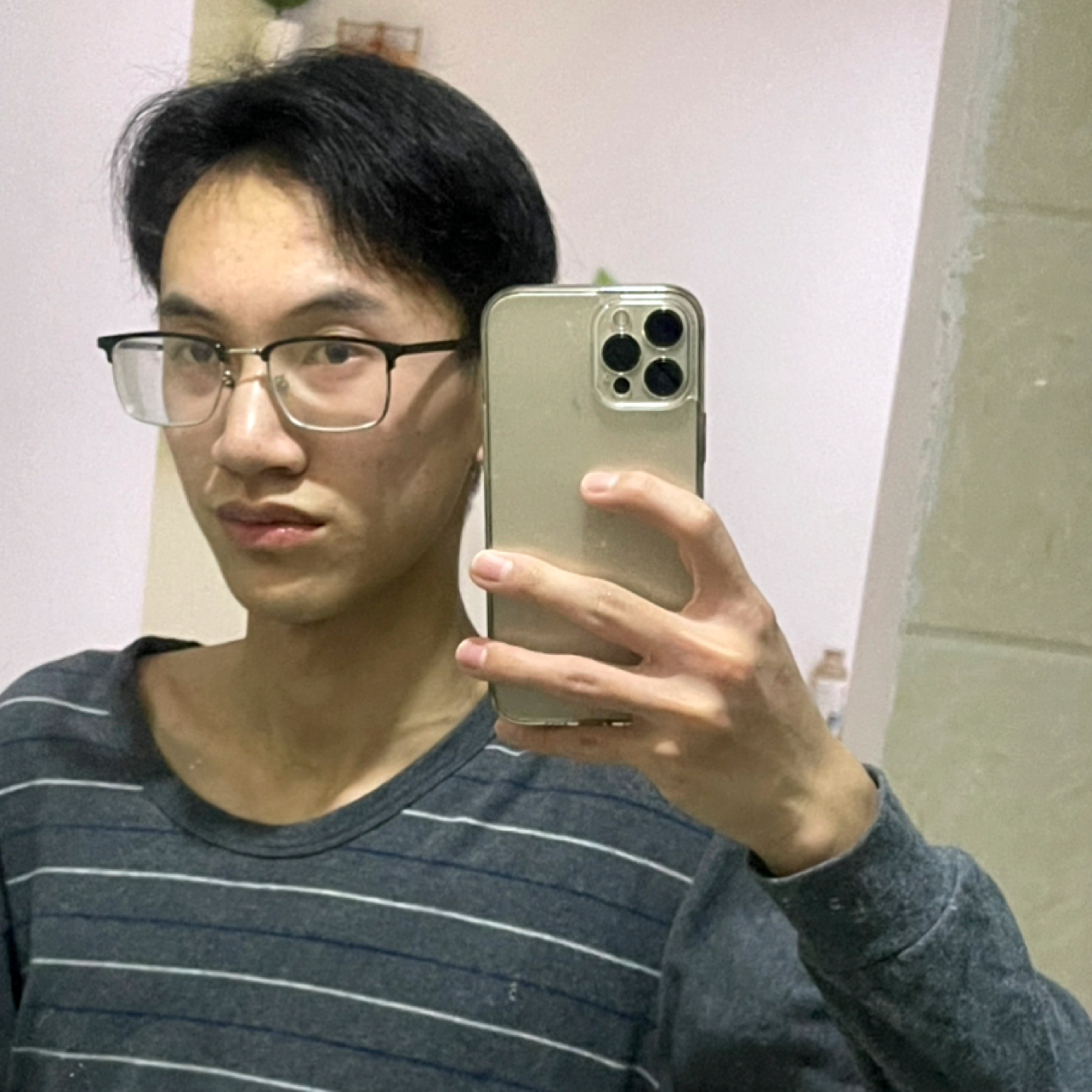 偏爱枕惊鸿的照片