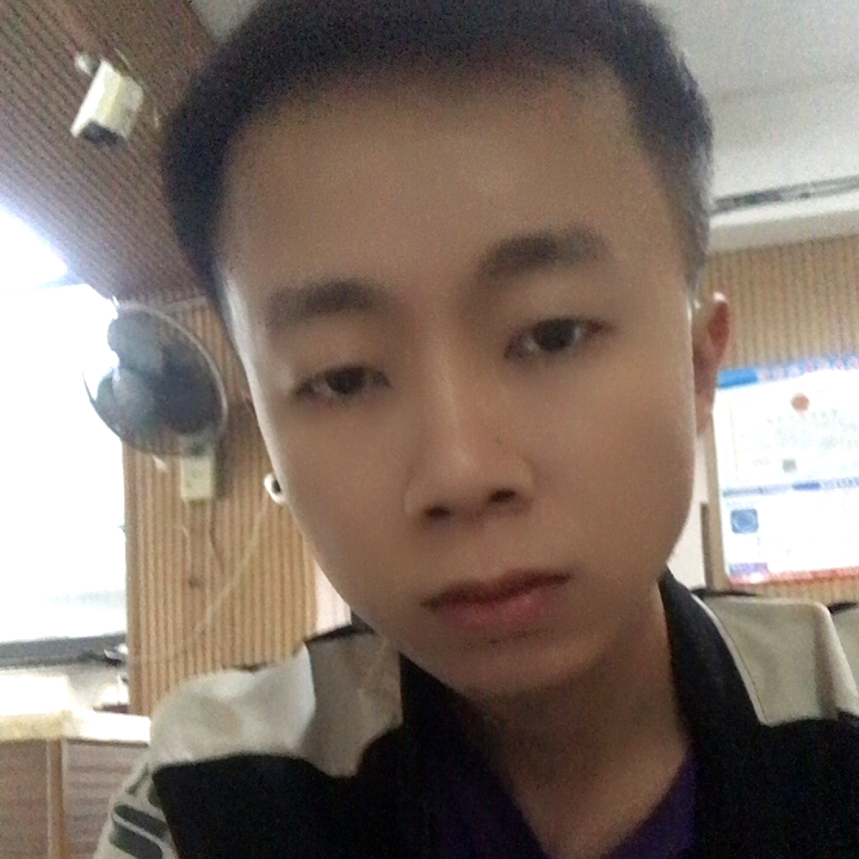 木马行空的照片