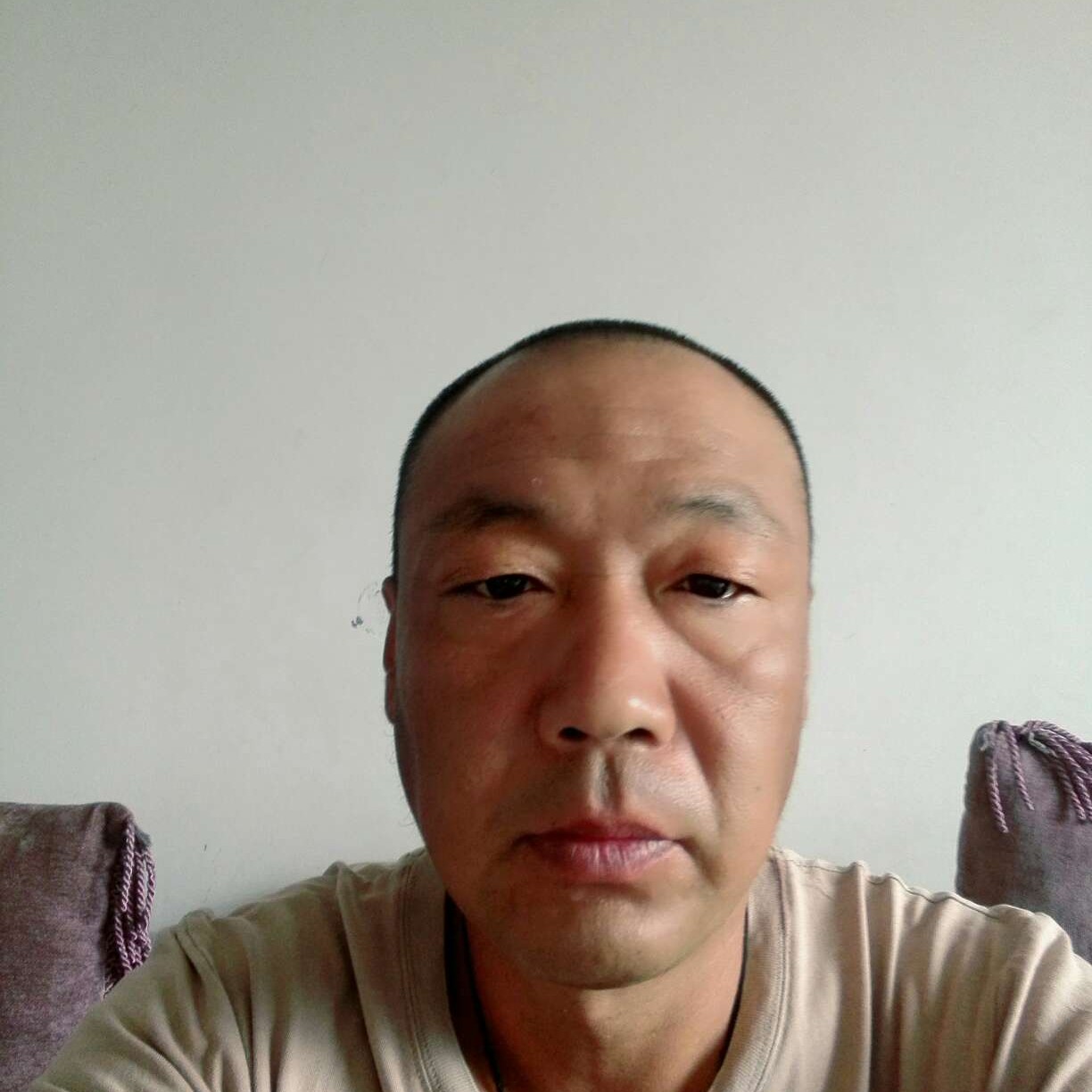 野狼和爱听歌的照片