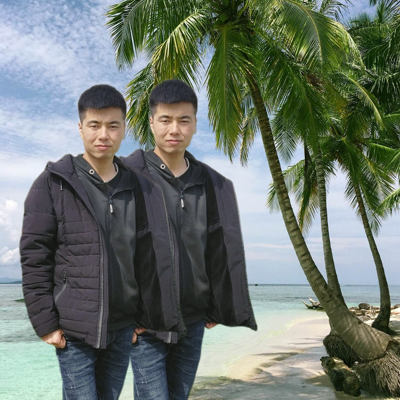 顺利的野狼的照片