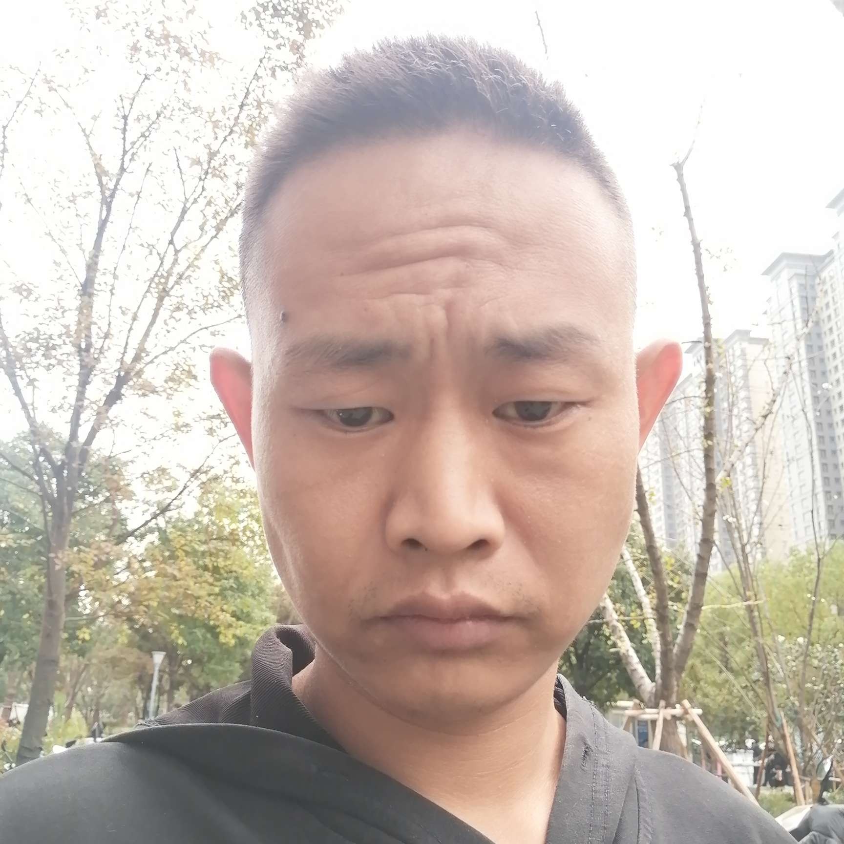 坚定停止世界的照片