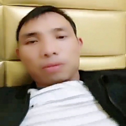 自觉請春天的照片
