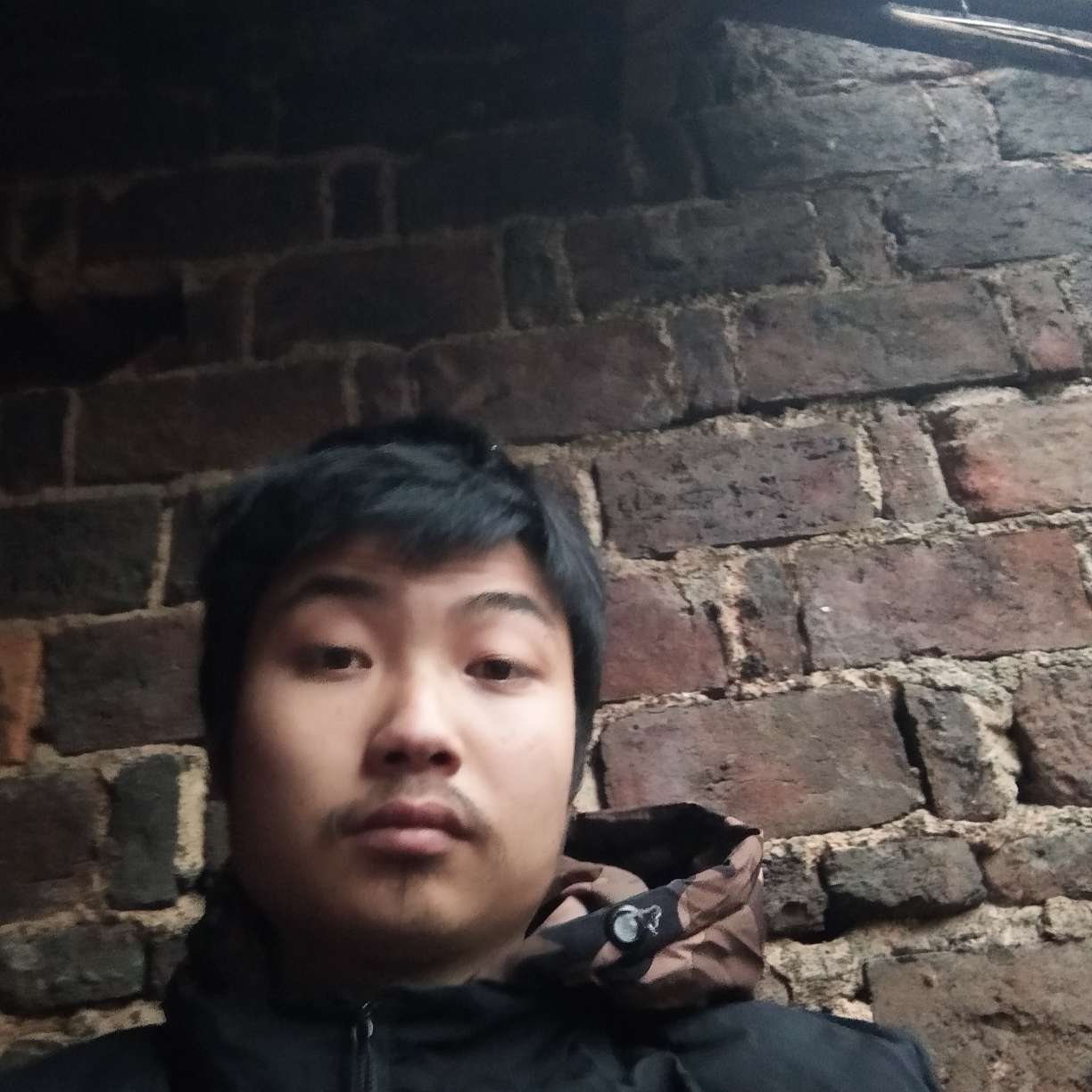 酷炫蹙眉吐司的照片