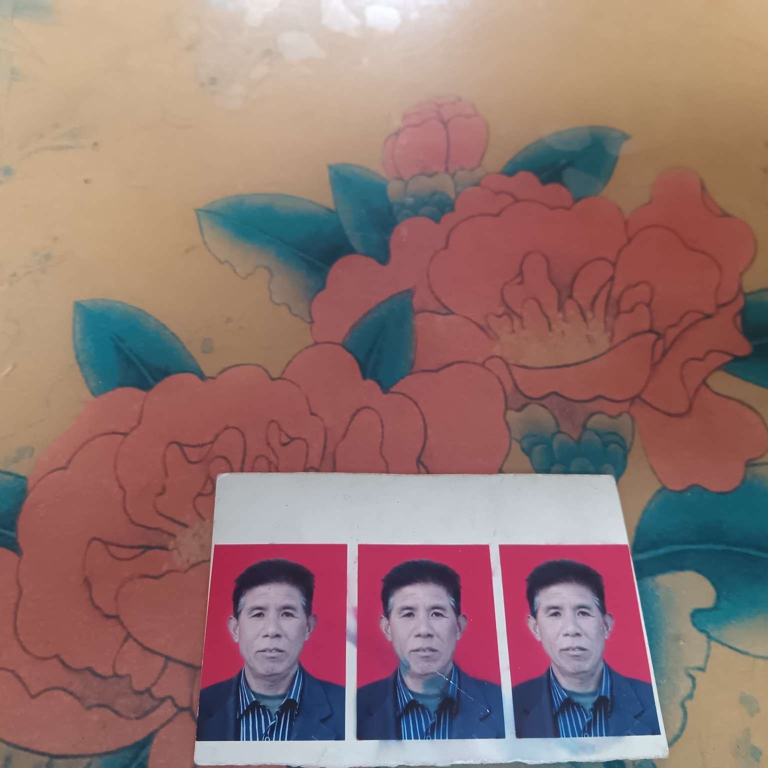 斑驳de梅林的照片