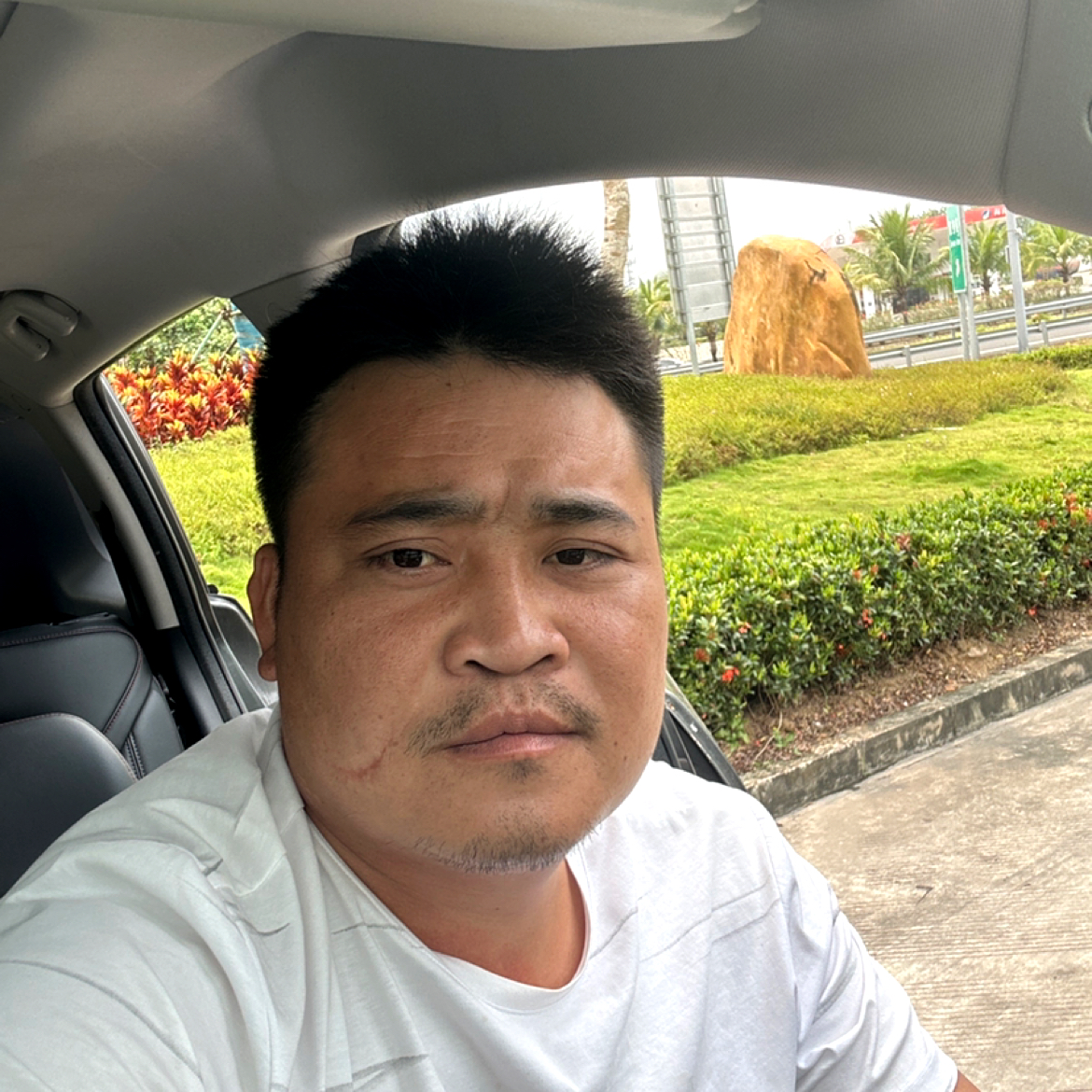 激动蹁跹黑米的照片