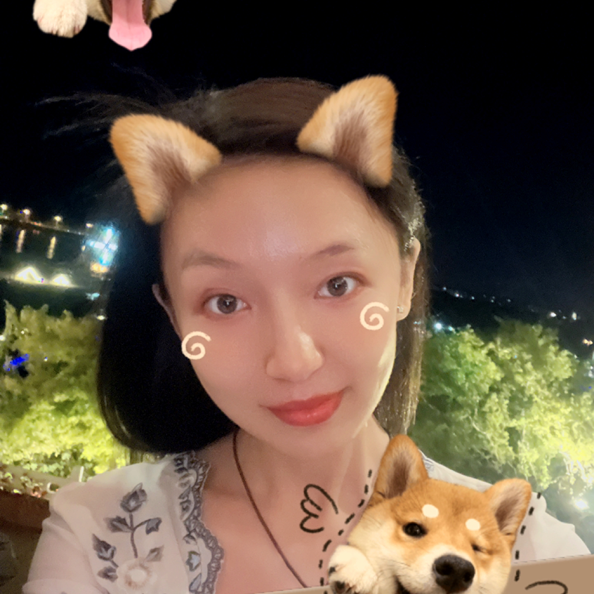 灼热蹁跹海燕的照片
