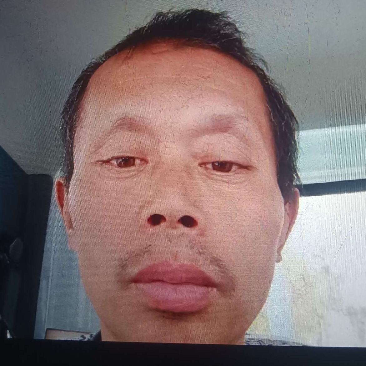 糊涂de浣熊的照片