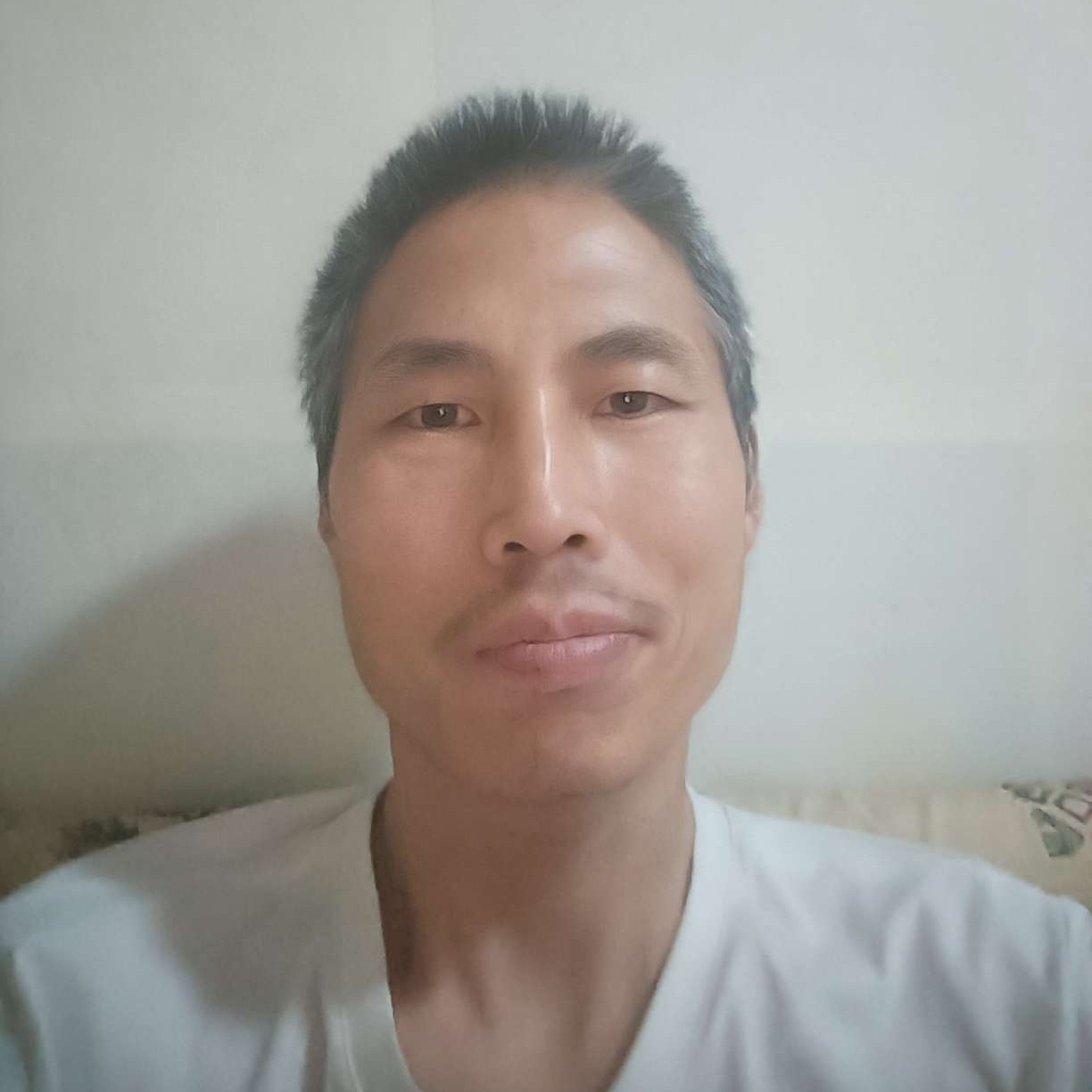 阳光下de旅程的照片