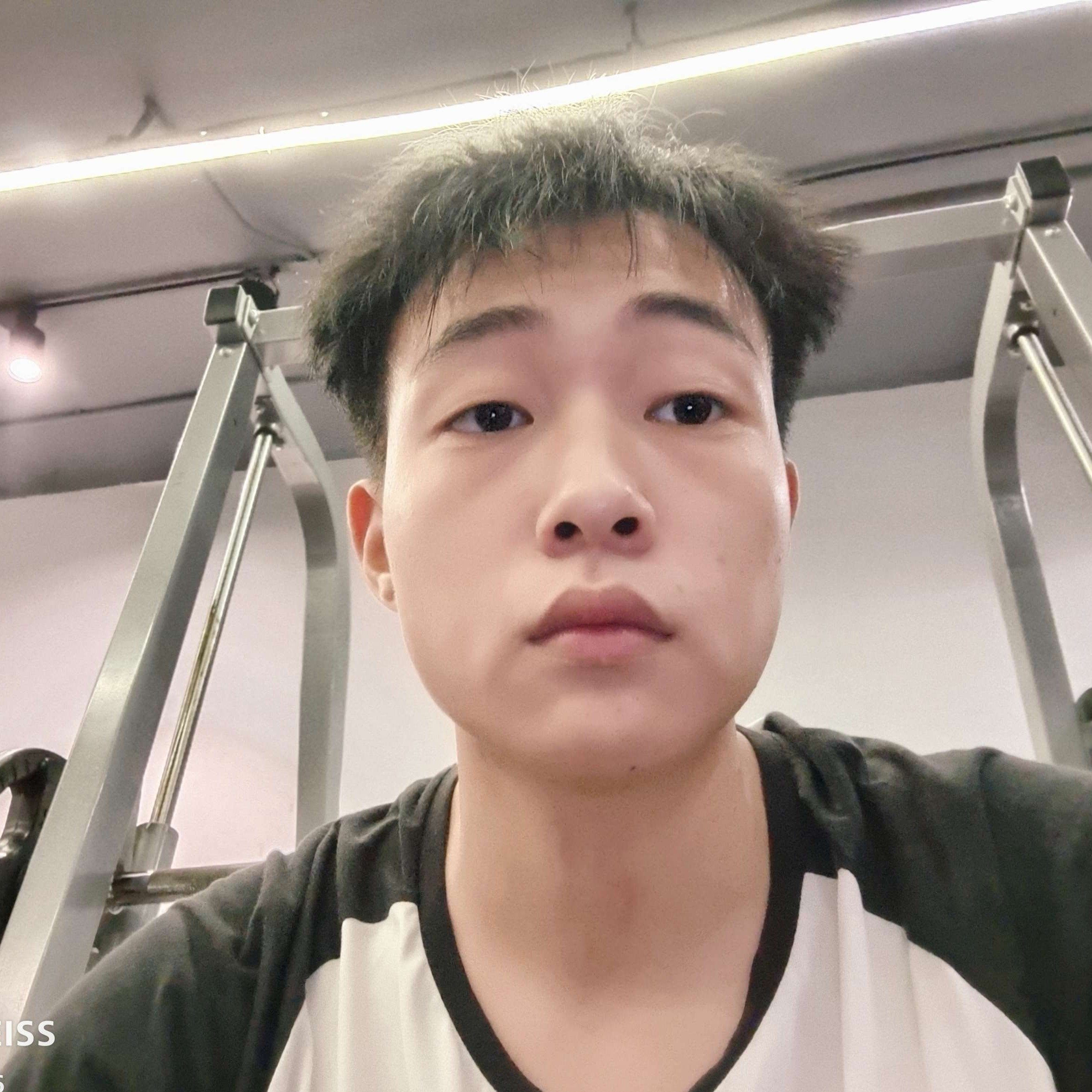 红玫瑰愿痴情的照片