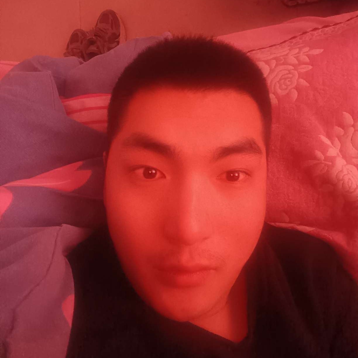 无可取代的保的照片