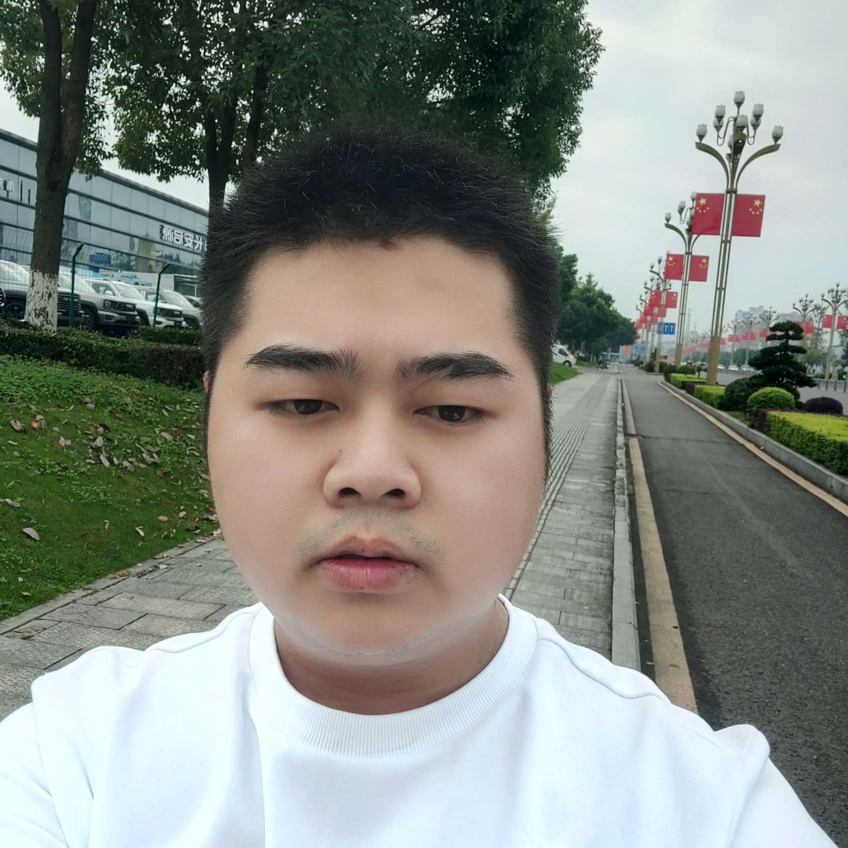 虚心de长颈鹿的照片