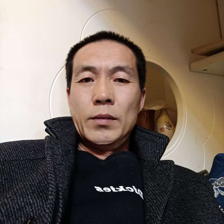 灰狼泪了幽默的照片