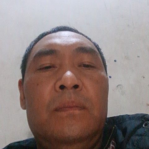 菠萝就标致的照片