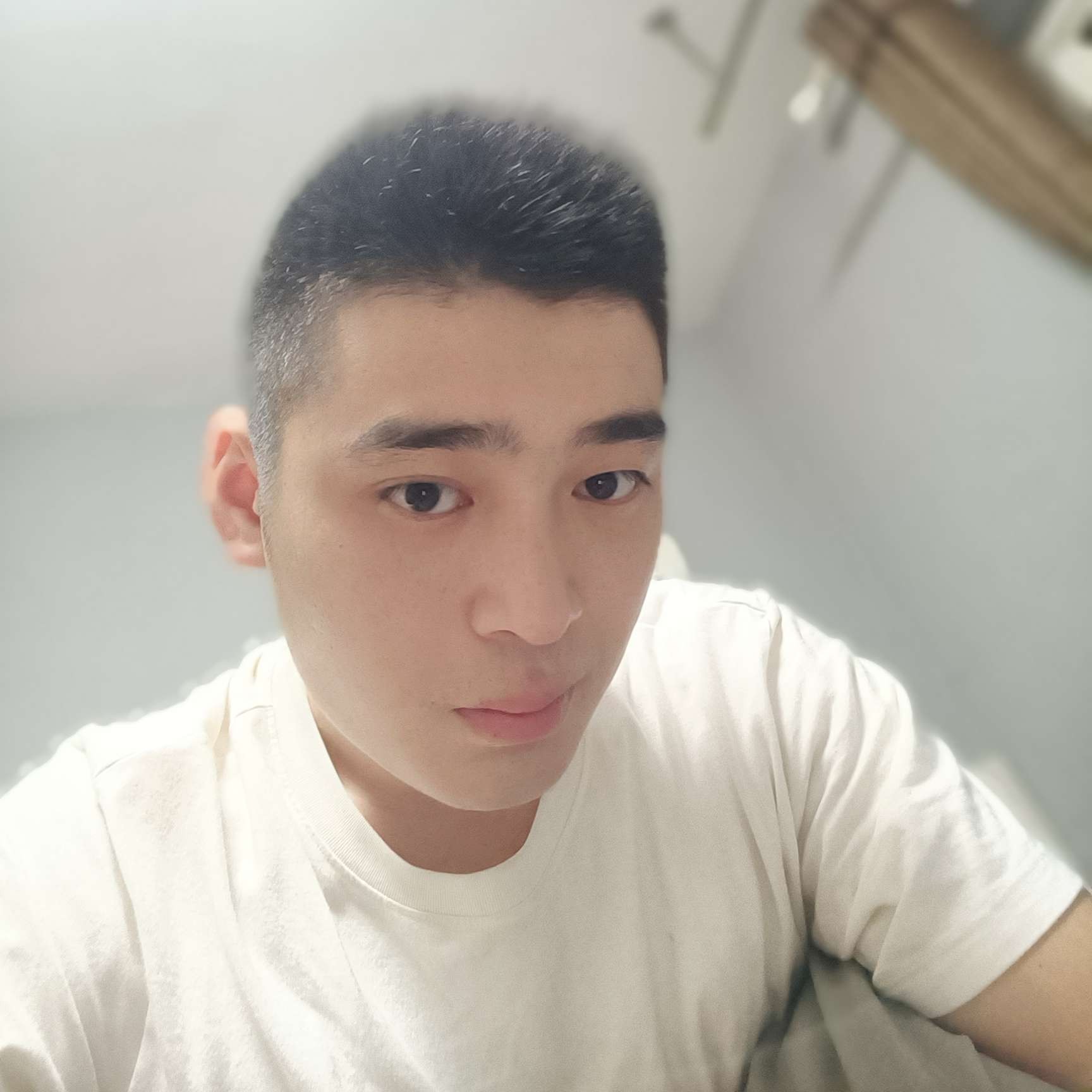 大雁笑斯文的照片