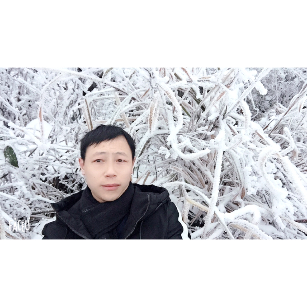 骑猪撞奔驰的照片