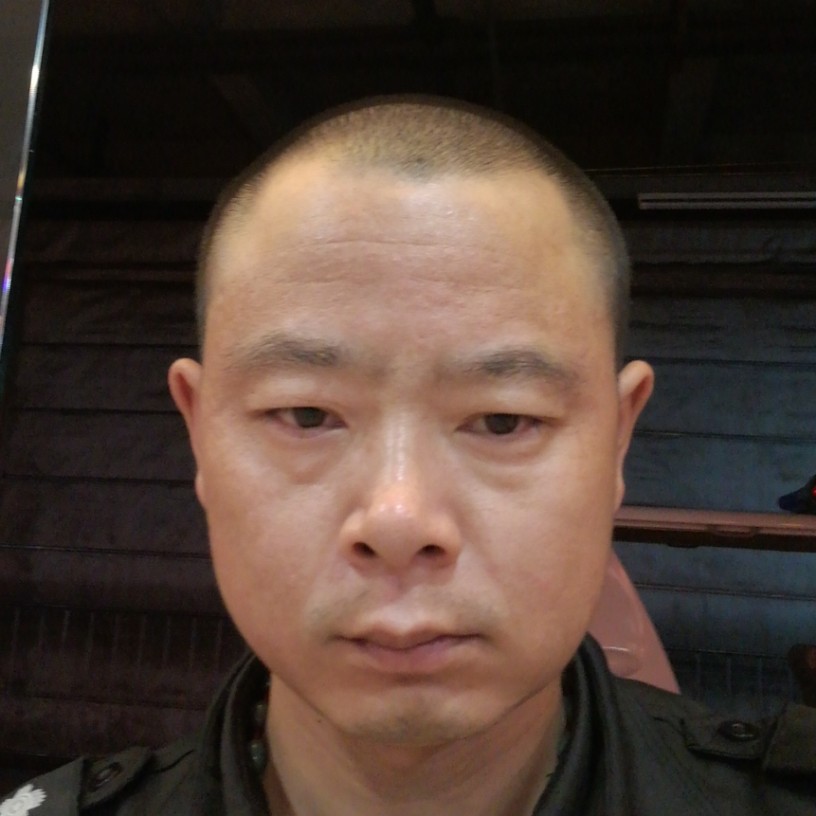 小海豚多么友好的照片