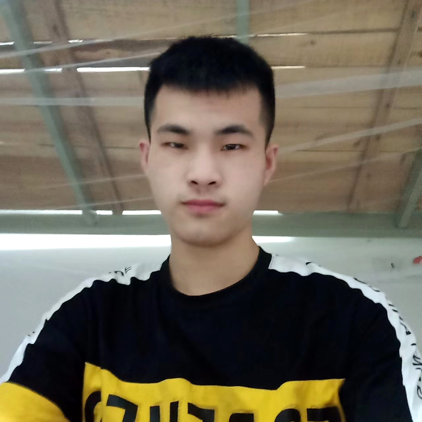 悲凉的小马的照片