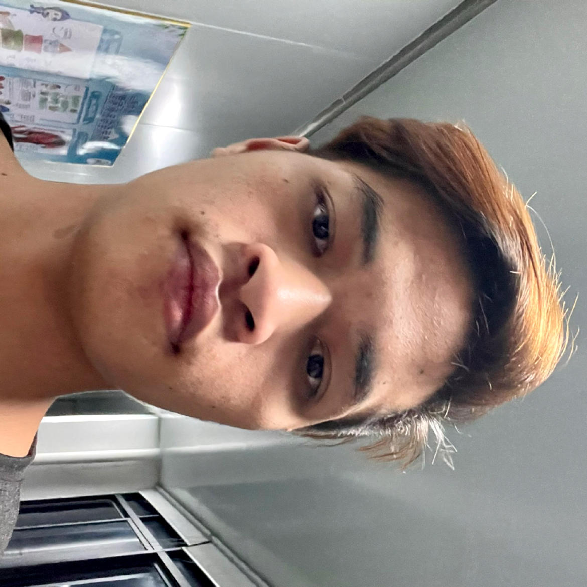 落日海湾的照片