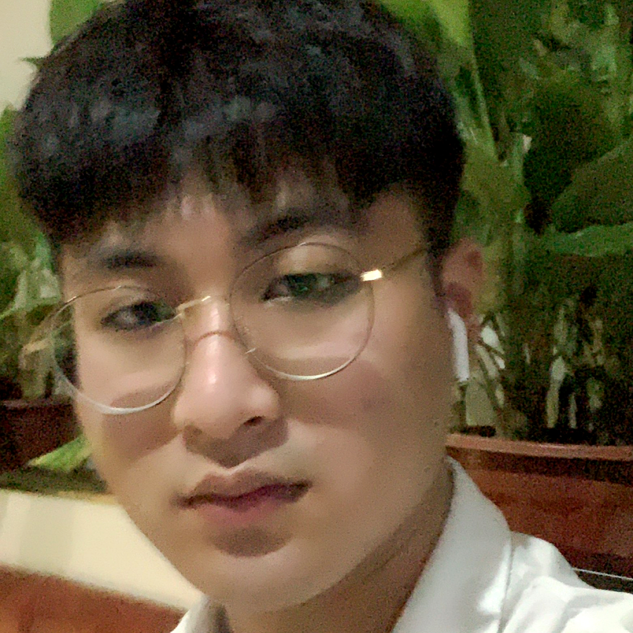 是禹禹呀的照片