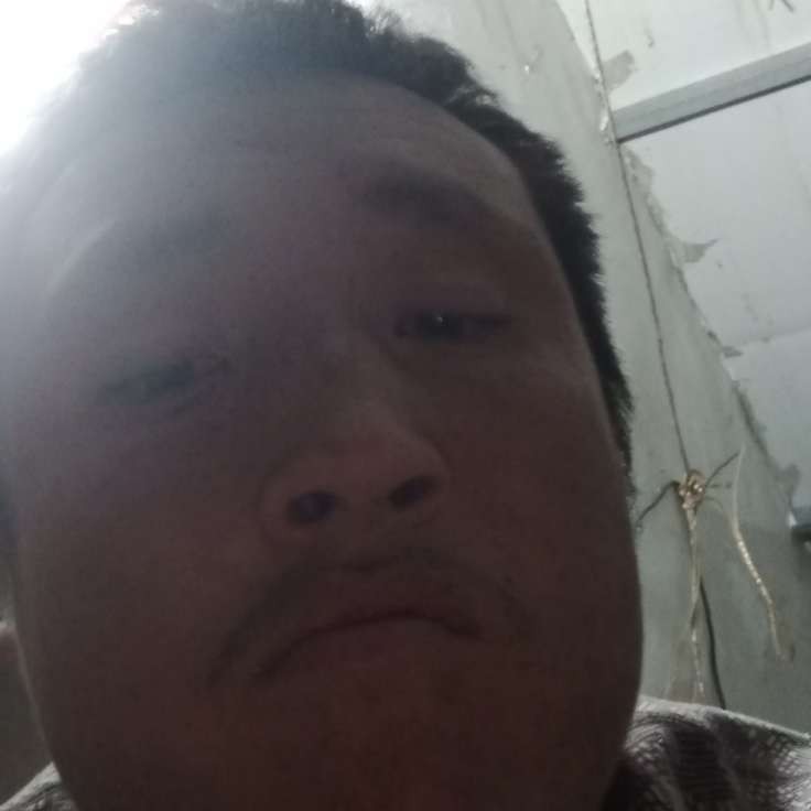 唐灵魂的照片