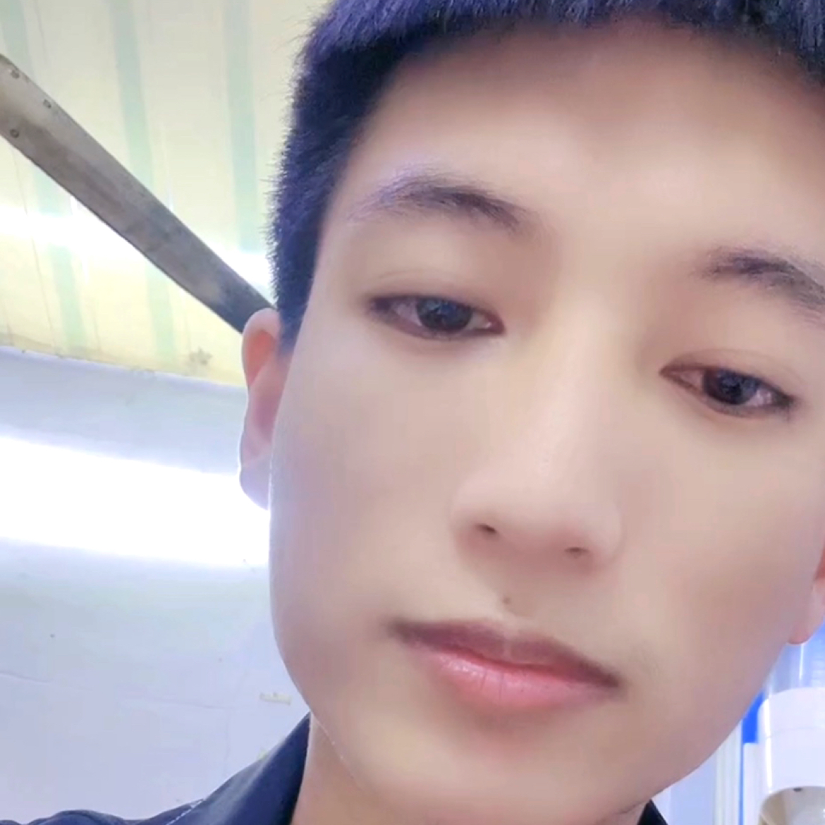 雪月风花的照片