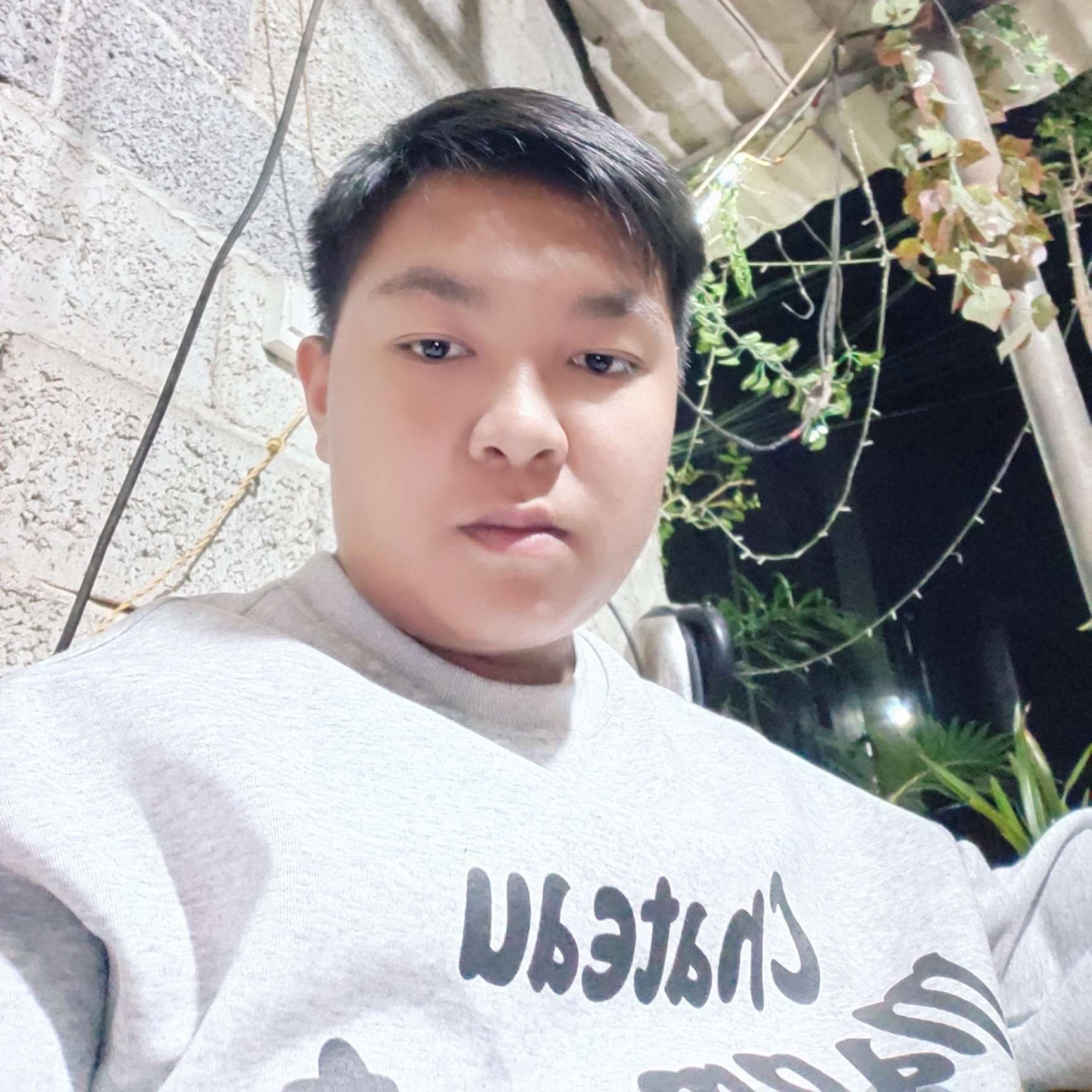 山间雾野的照片