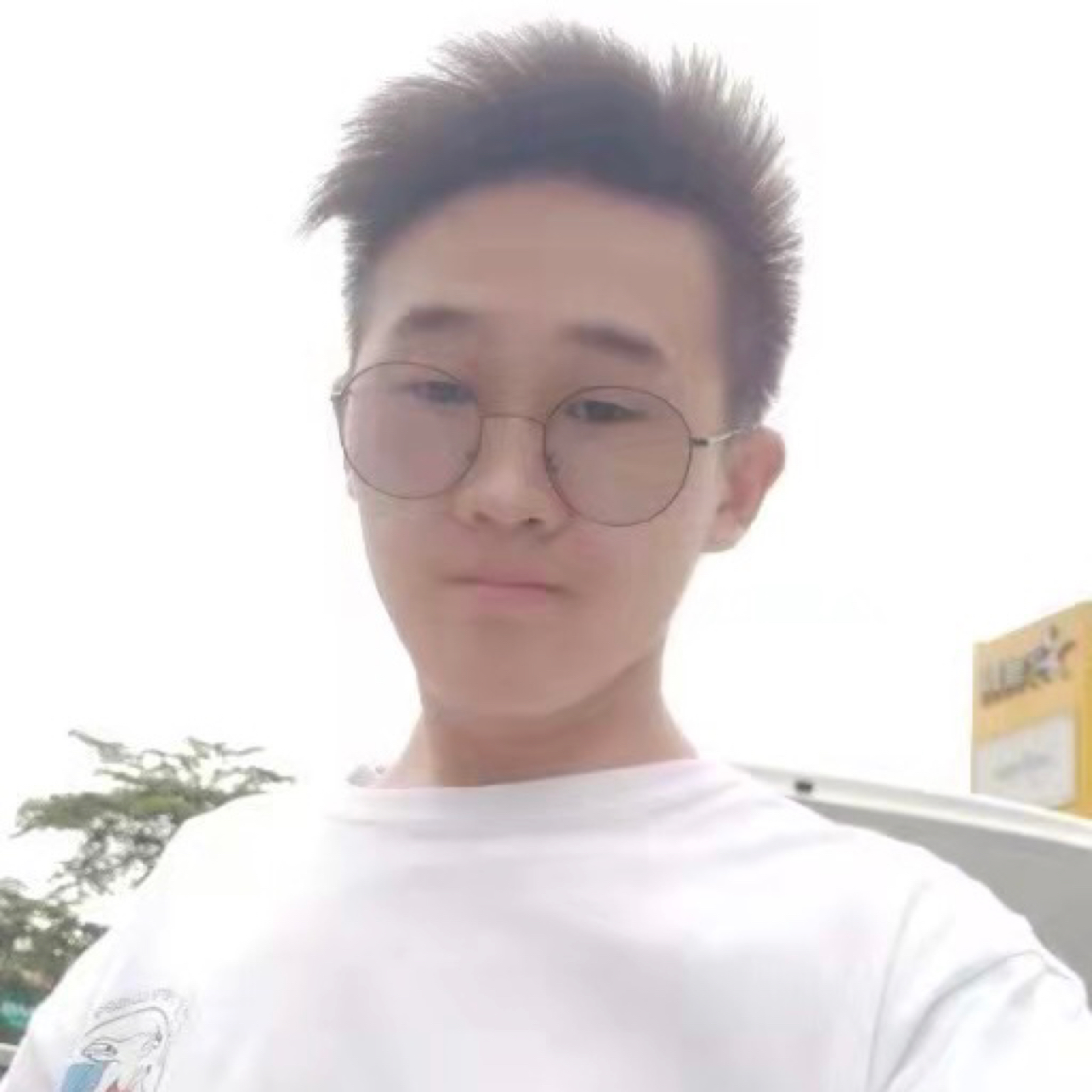 小鸭子演变微笑的照片