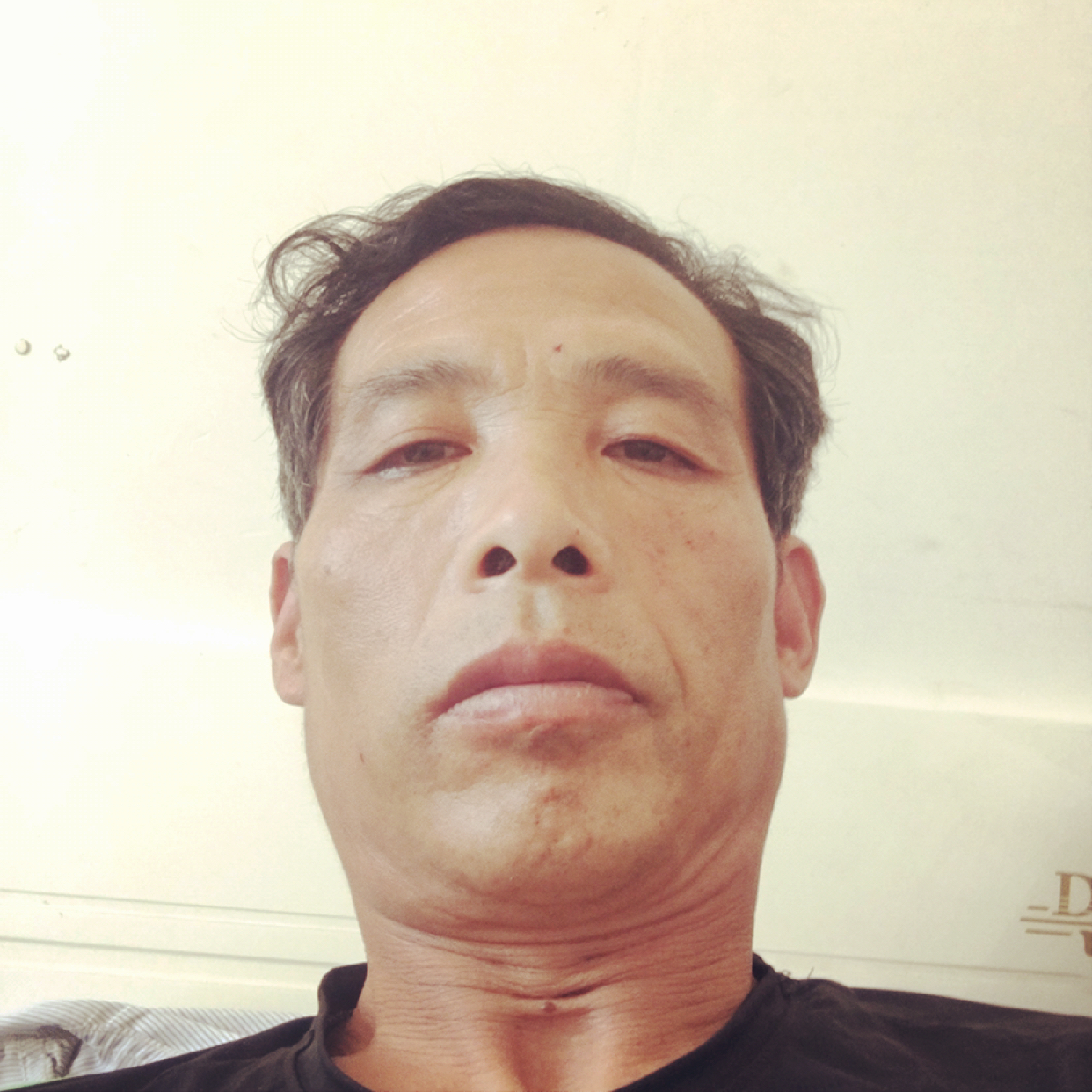 羊請清脆的照片