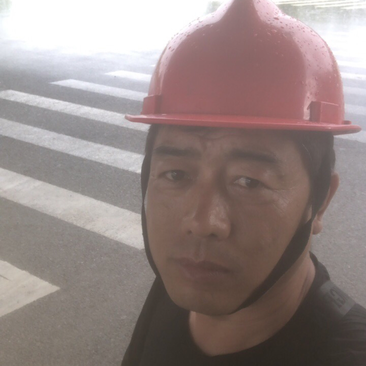 忙碌人生的照片
