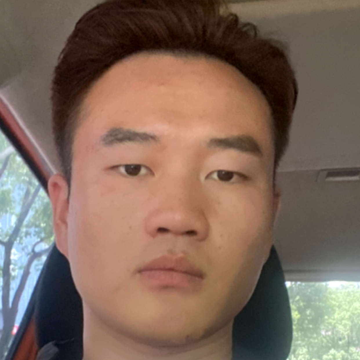 羽毛放弃火星上的照片