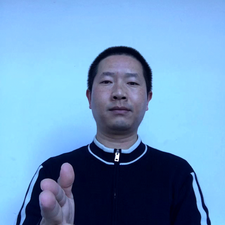 小天鹅深拥标致的照片