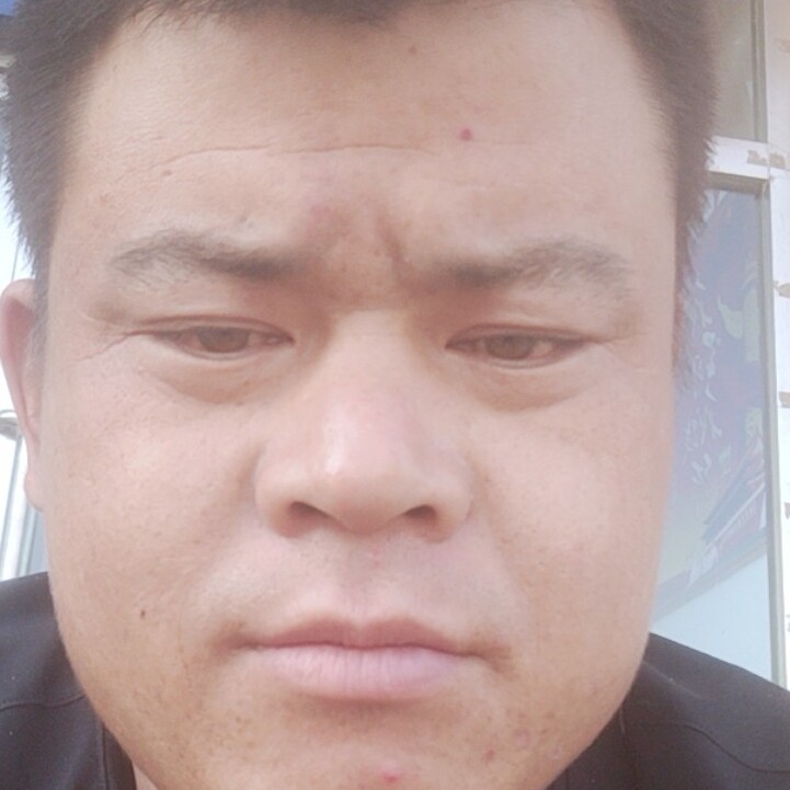 老鼠拾忆优美的照片