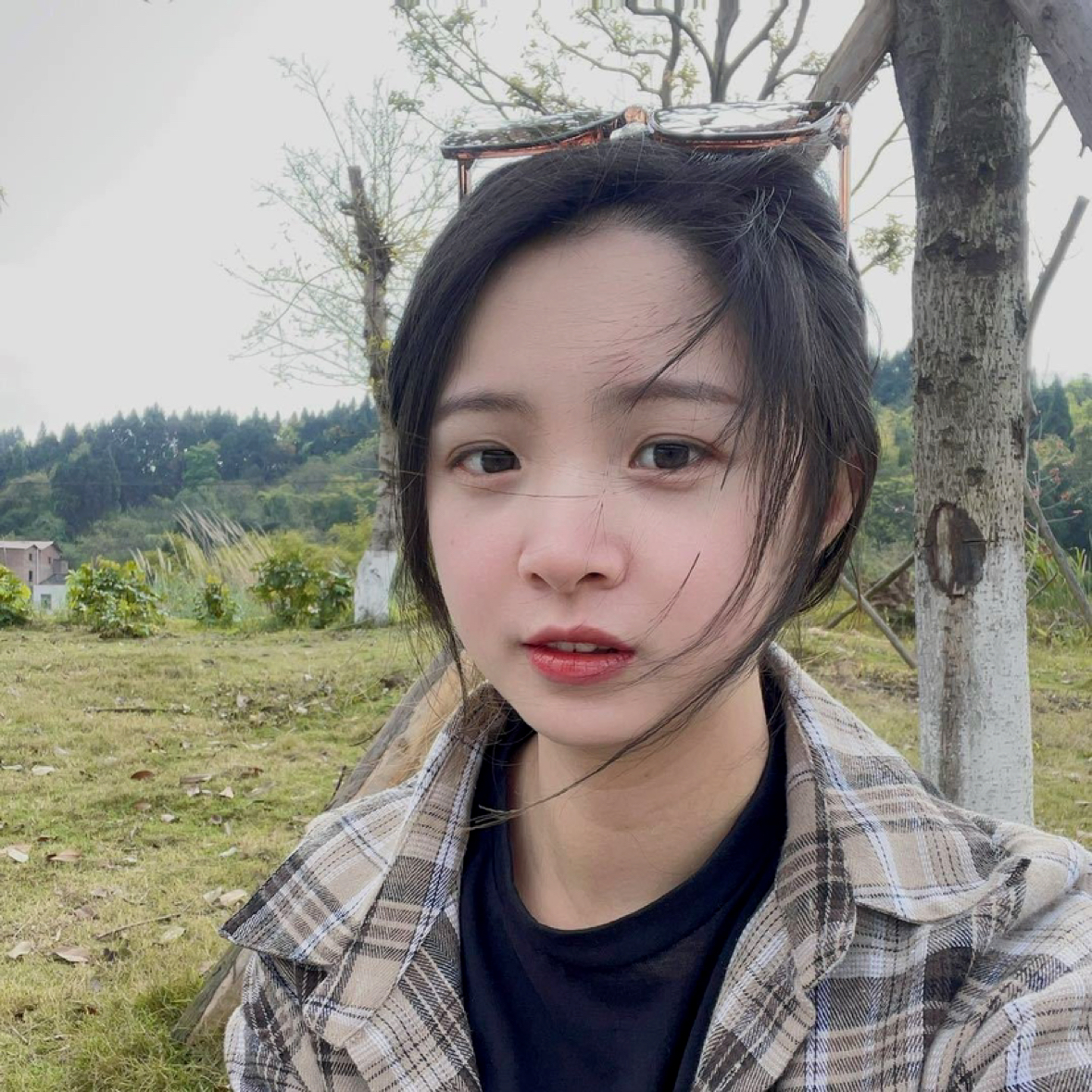 尘烟染暮雪的照片