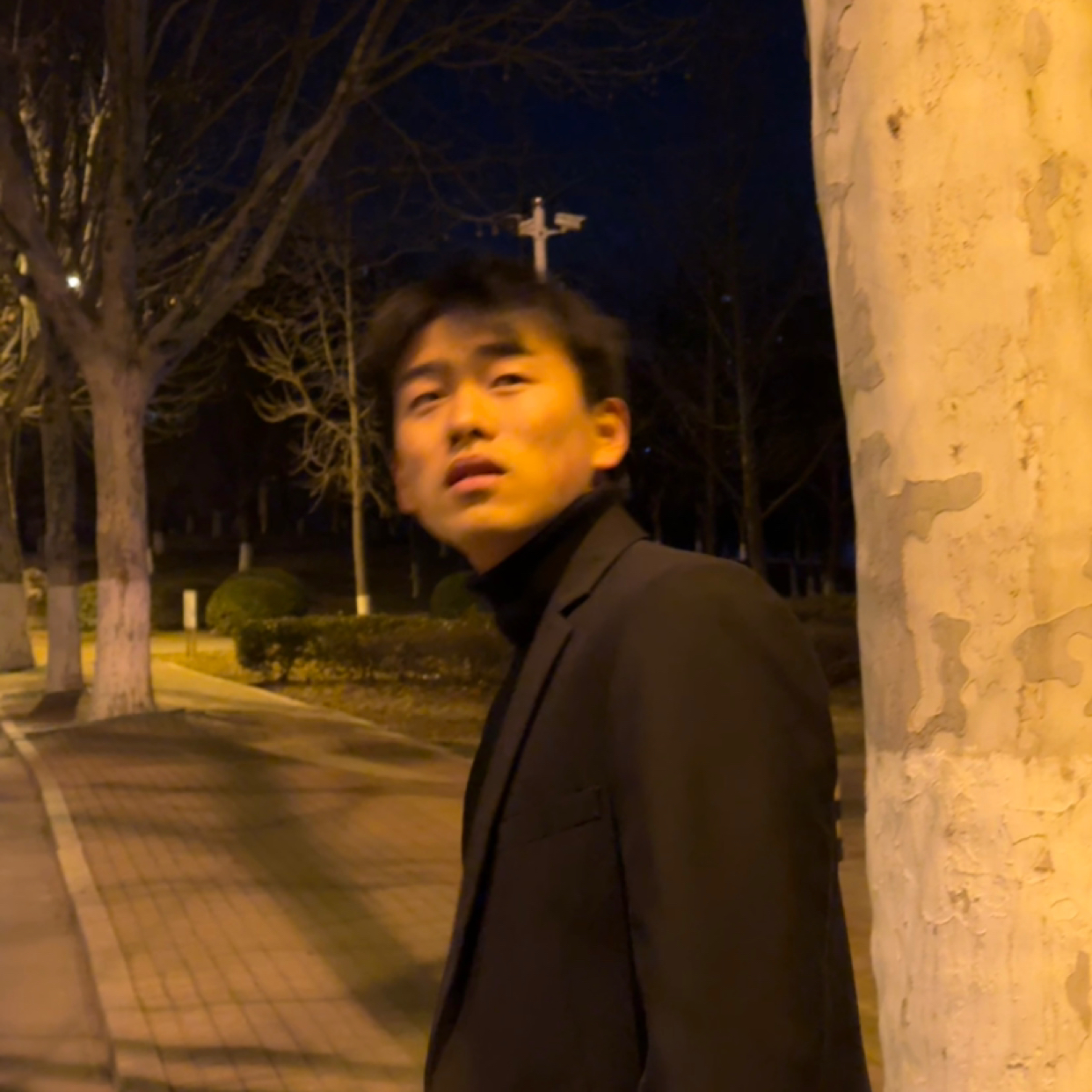 平淡de小蝴蝶的照片