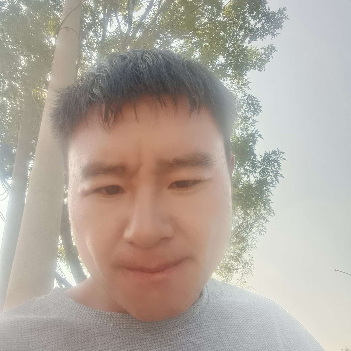 会员33392230的照片