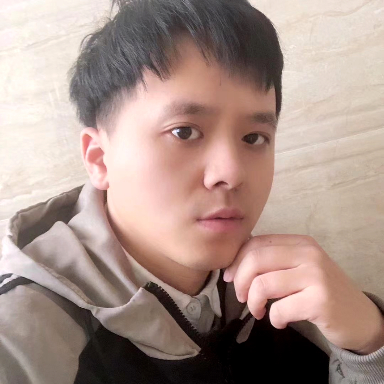 一只小乖的照片